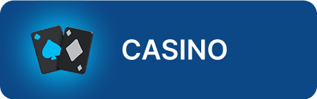 Casinohover